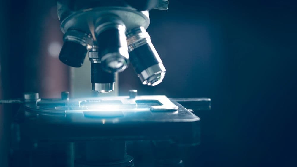 Microscope