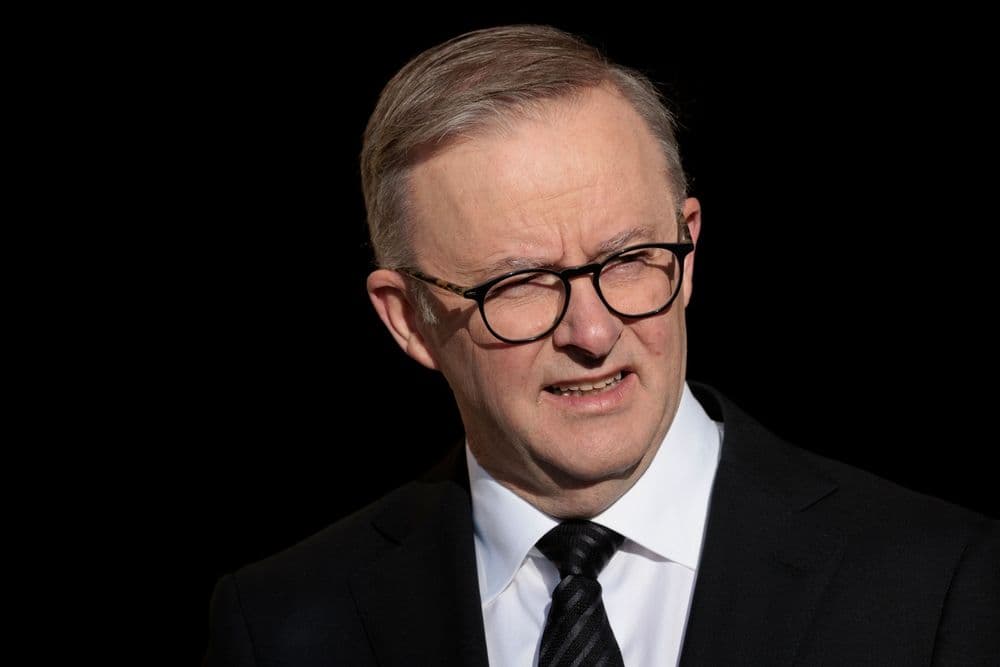 Albo