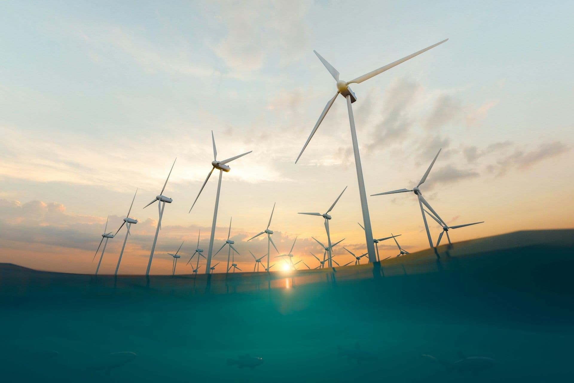 Offshore wind farm 2