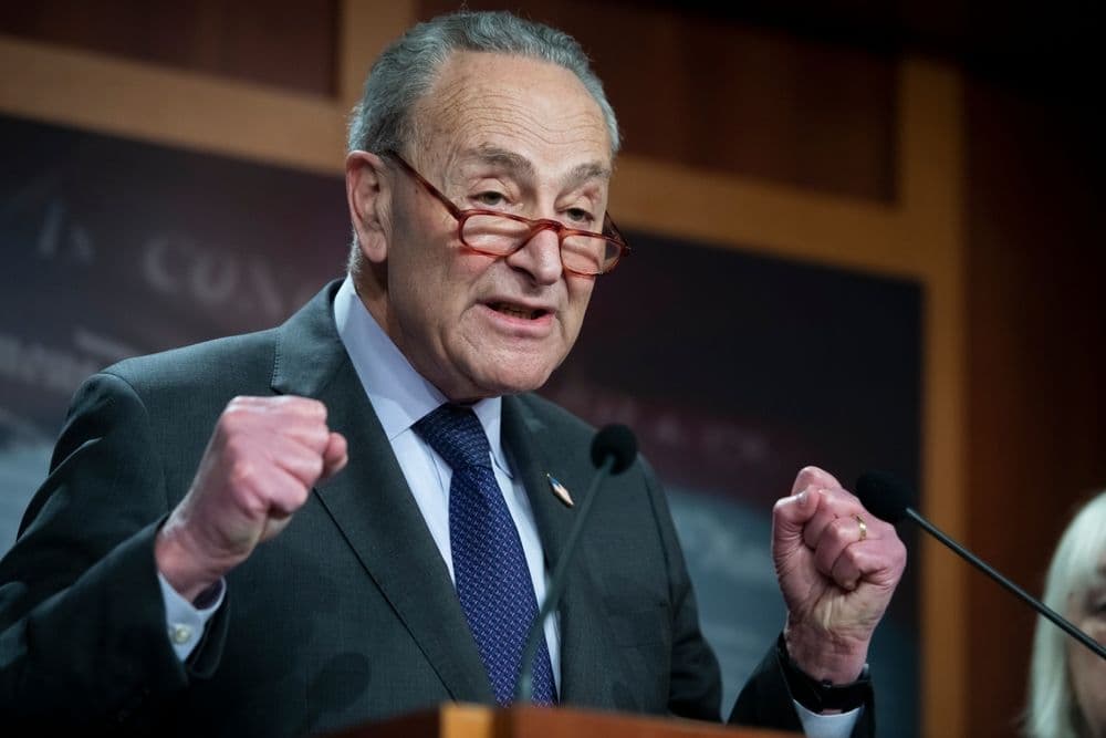 chuck schumer