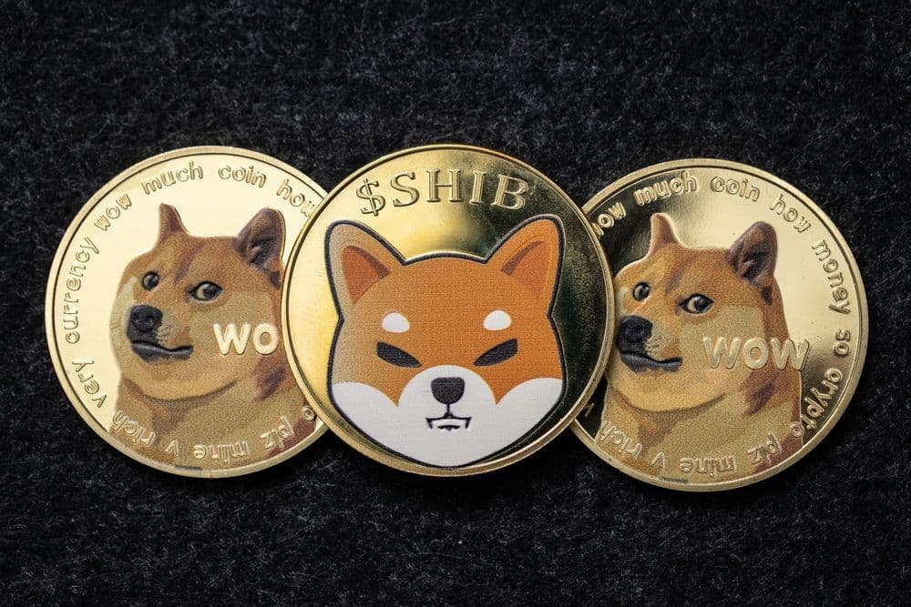 DOGE & SHIB