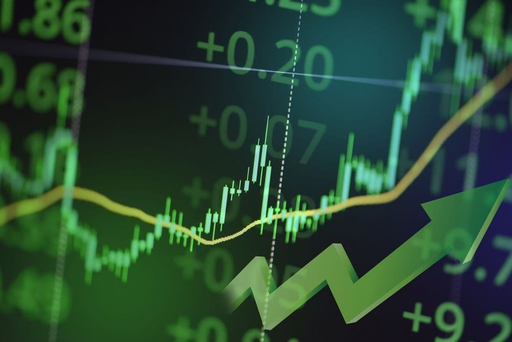 Stock Price Rise