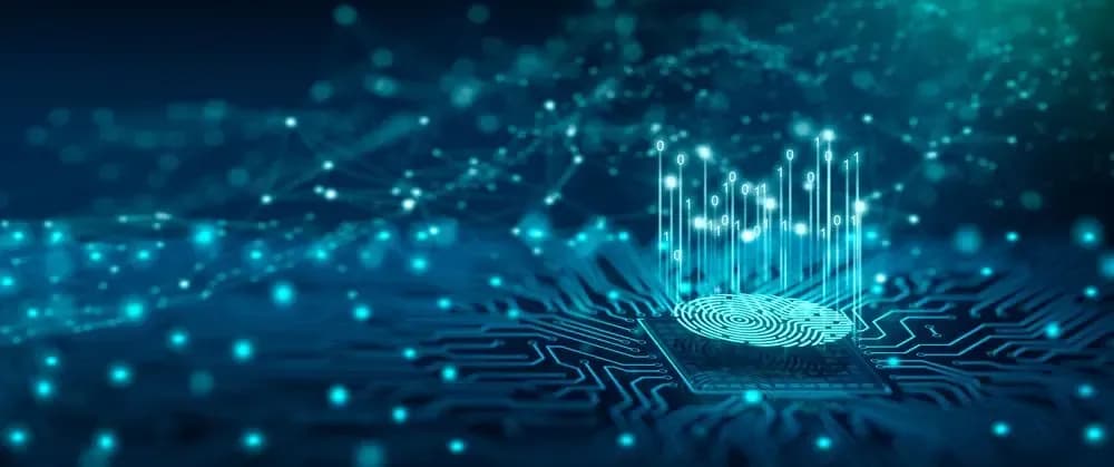 Digital Identity