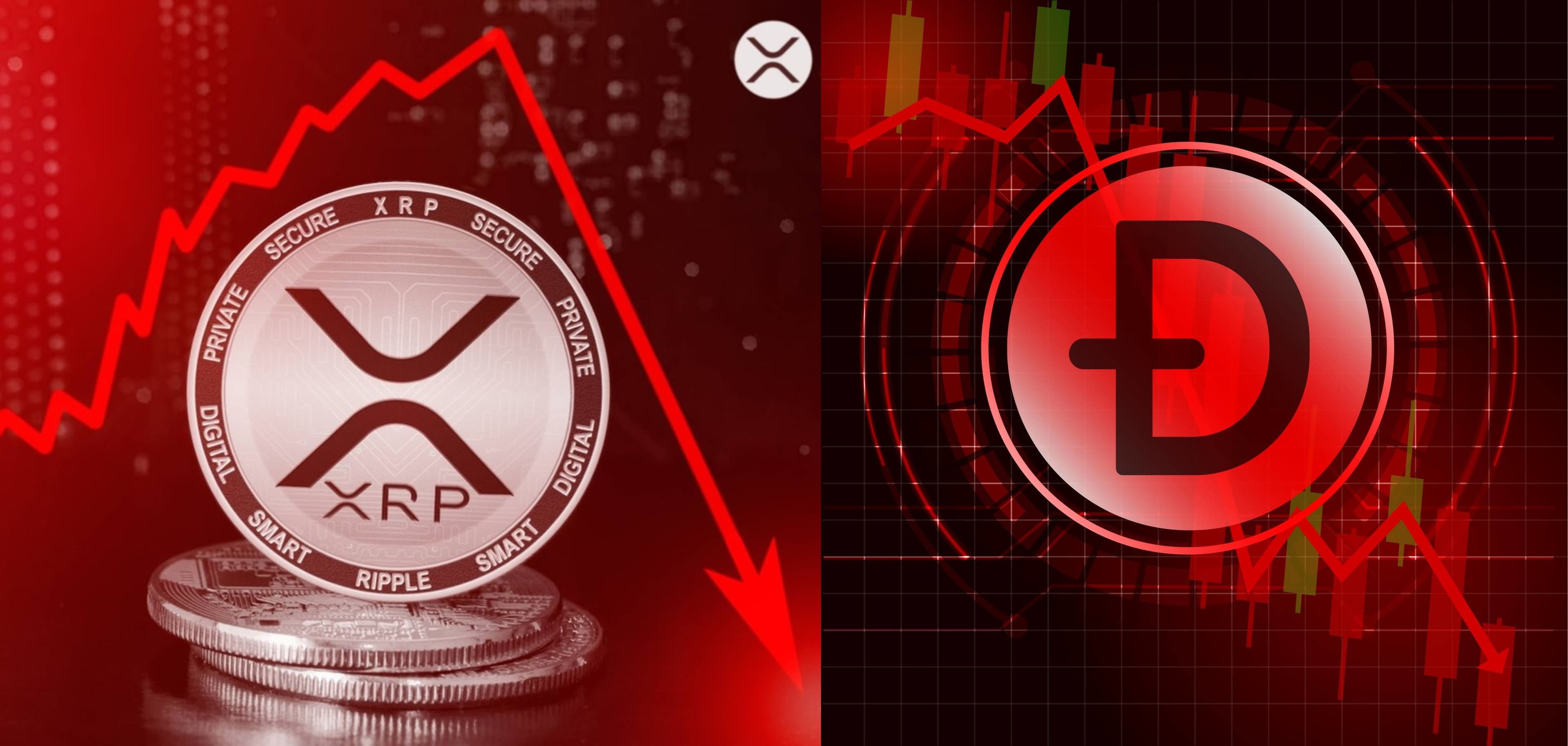 XRP & DOGE Crash 10% as Trump’s China Tariffs Shake Markets